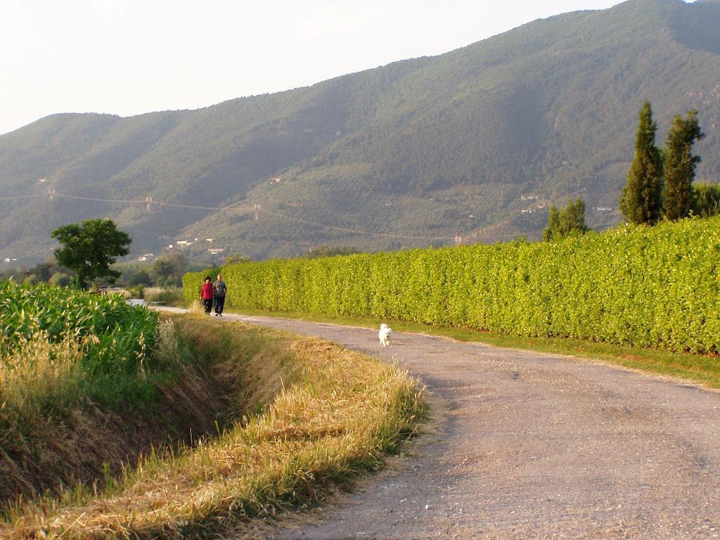 Agriturismo La Pisana Doğa fotoğraf